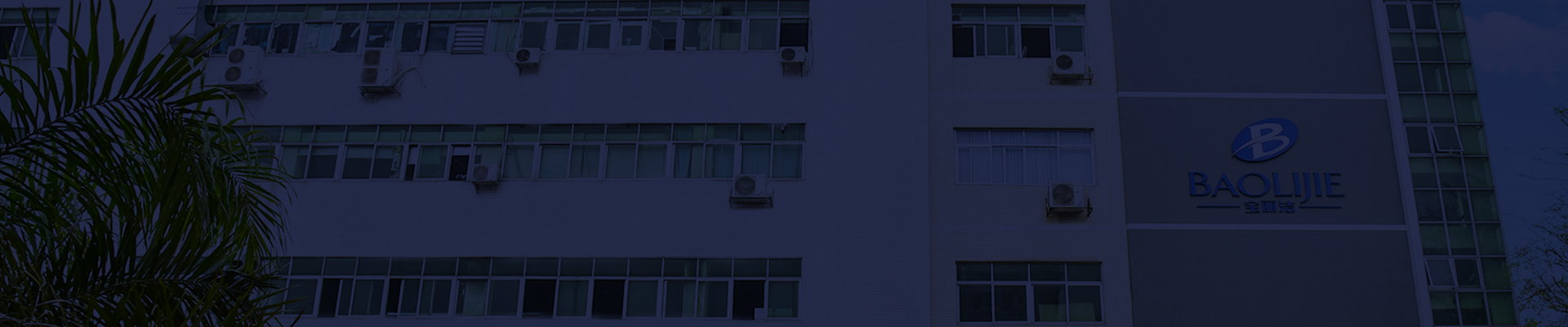 Shenzhen Baolijie Technology Co., Ltd. Profilo aziendale